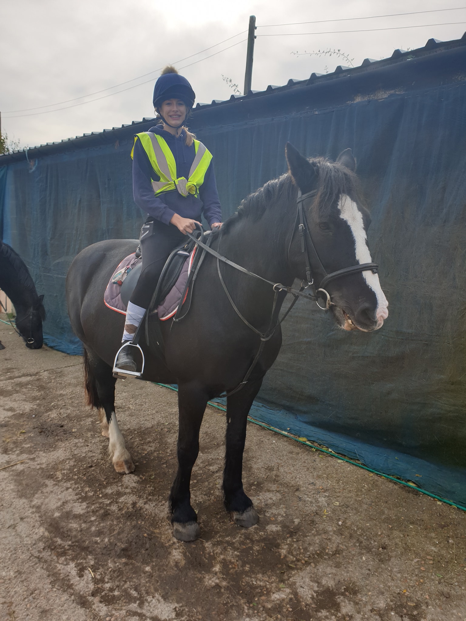 Boxley Riding School | Maidstone