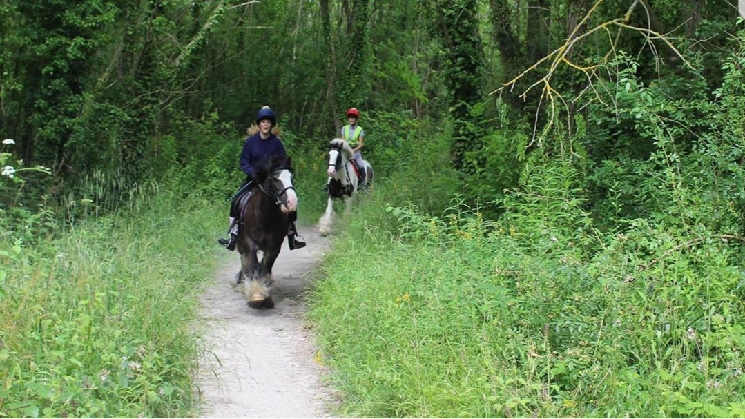 Boxley Riding School | Maidstone