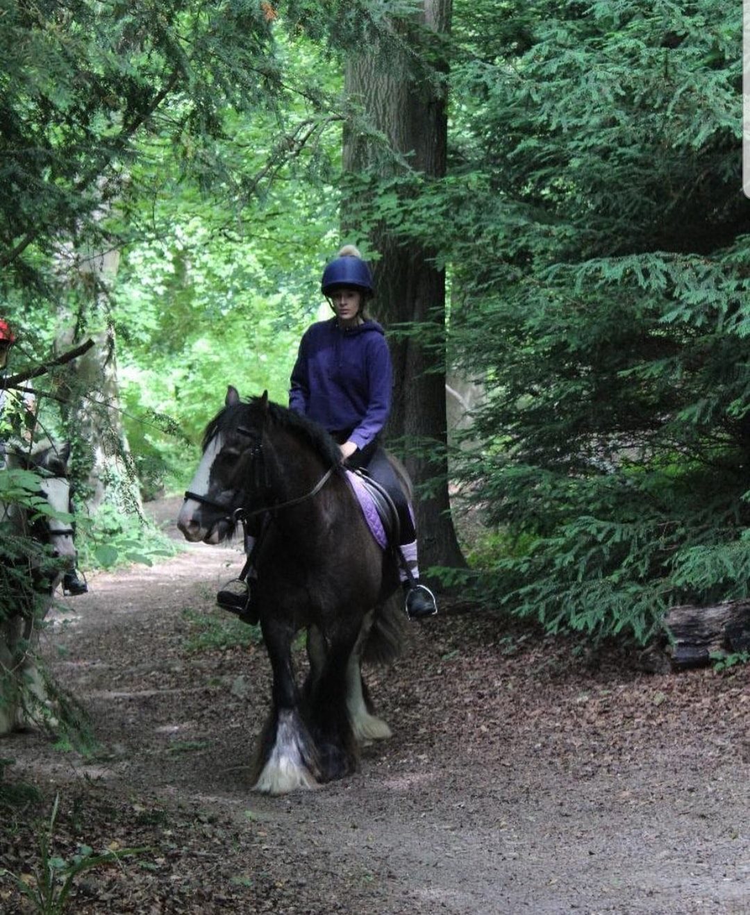 Boxley Riding School | Maidstone