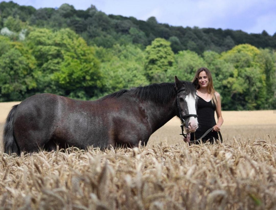 Boxley Riding School | Maidstone