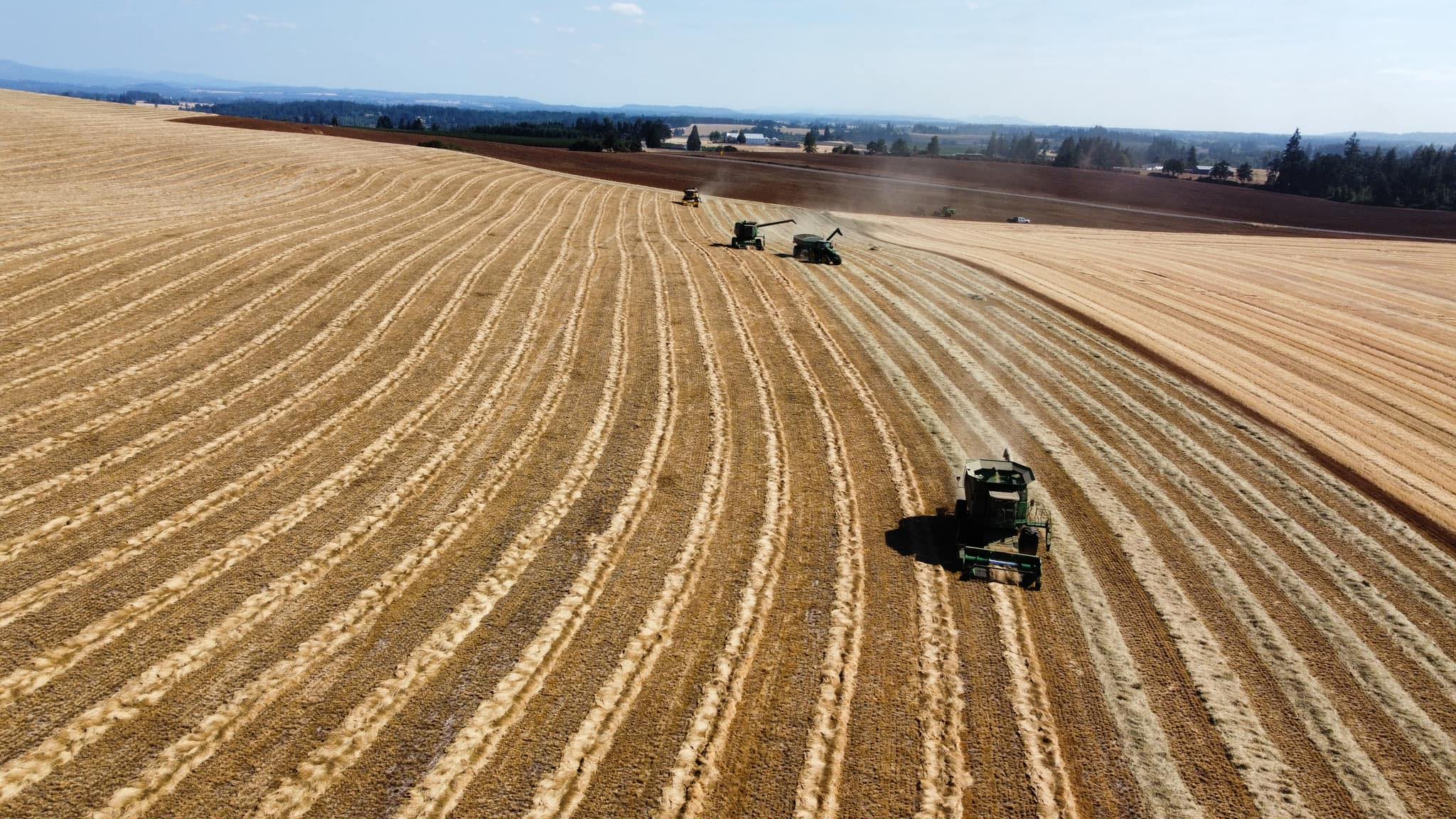Diamond-S Farms, Inc. added a new... - Diamond-S Farms, Inc.