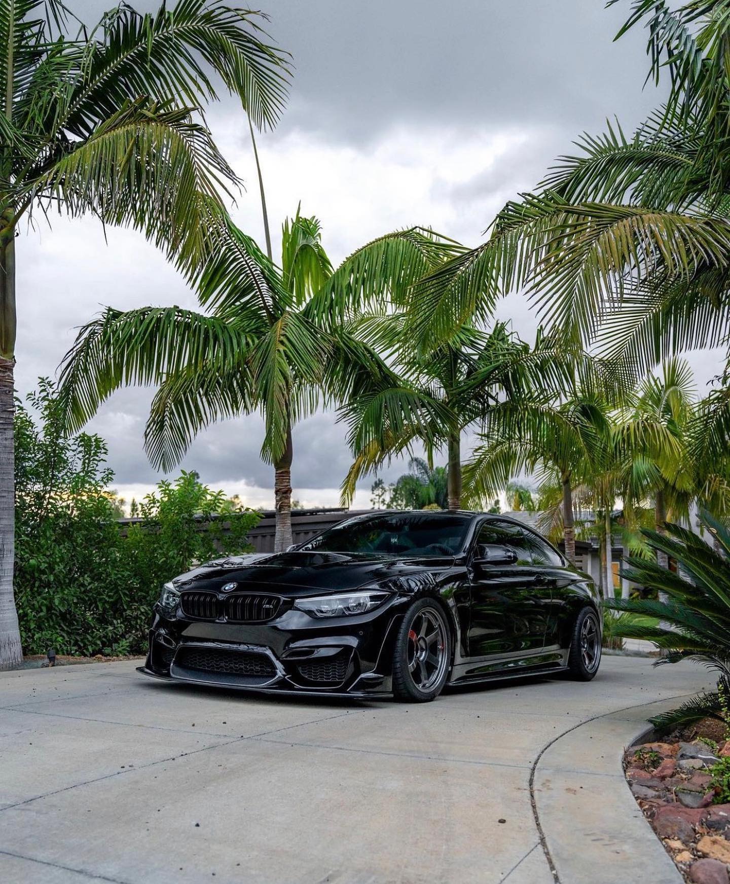RAYS Wheels USA - BMW M4 on VOLK RACING TE37SL 🚗:... | Facebook