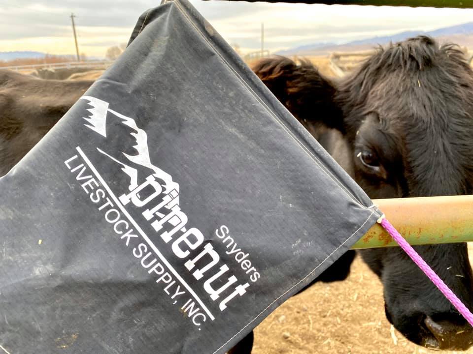 Our sorting flags are... - Snyders' Pinenut Livestock Supply