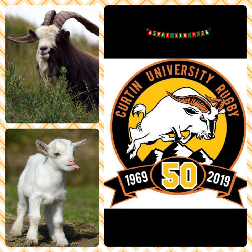 🎉 From Old Goats to New Goats-... - Curtin University Rugby | Facebook