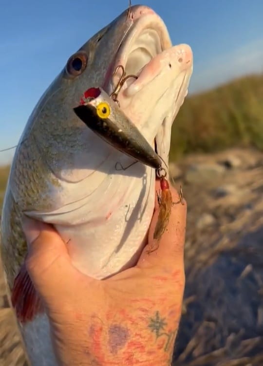 ebbtide fishing lures Lazy Skimblades rock and surf Color:Phantom Craw It casts further Kid Casters Monster Jam