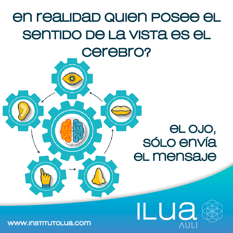 ILUA - ¿Sabías que… ️ www.institutolua.com ⬅️ . . . .... | Facebook