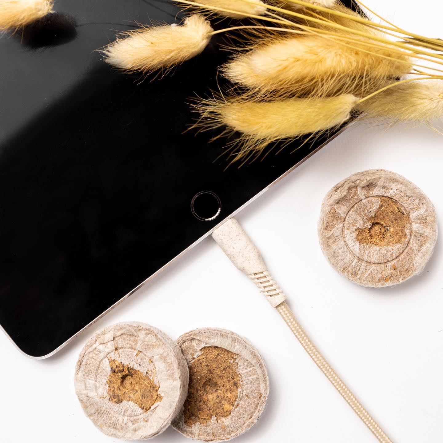 FAIRLING - Sustainable tech – and a packaging made of... | Facebook