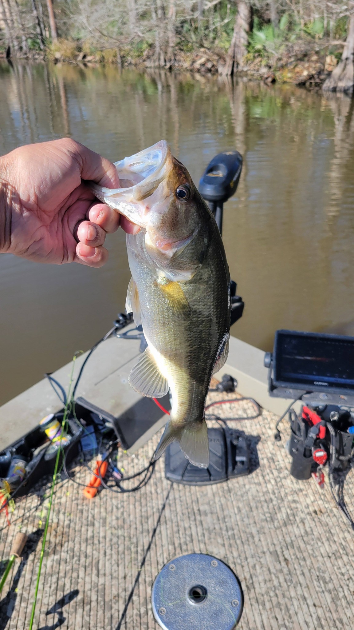 ugly stik 10 ft casting rod Carbon Salmon Steelhead glow tip night fishing For the challenge of Color:126 20 BEAST MASTER MD