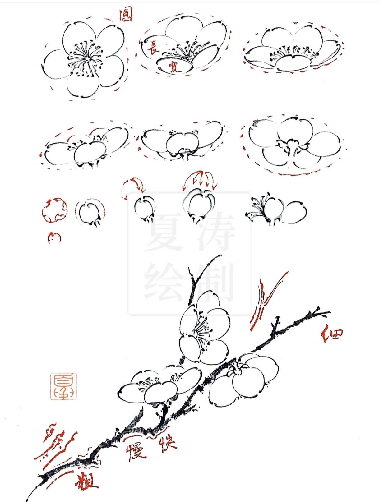 梅花畫法（來源網絡圖片）