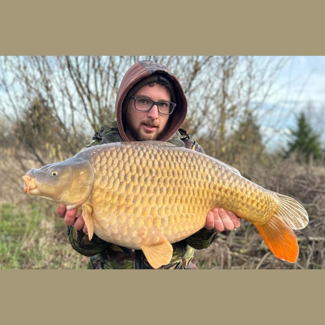 A few lovely fish caught today at... - G Neal Fisheries | Facebook