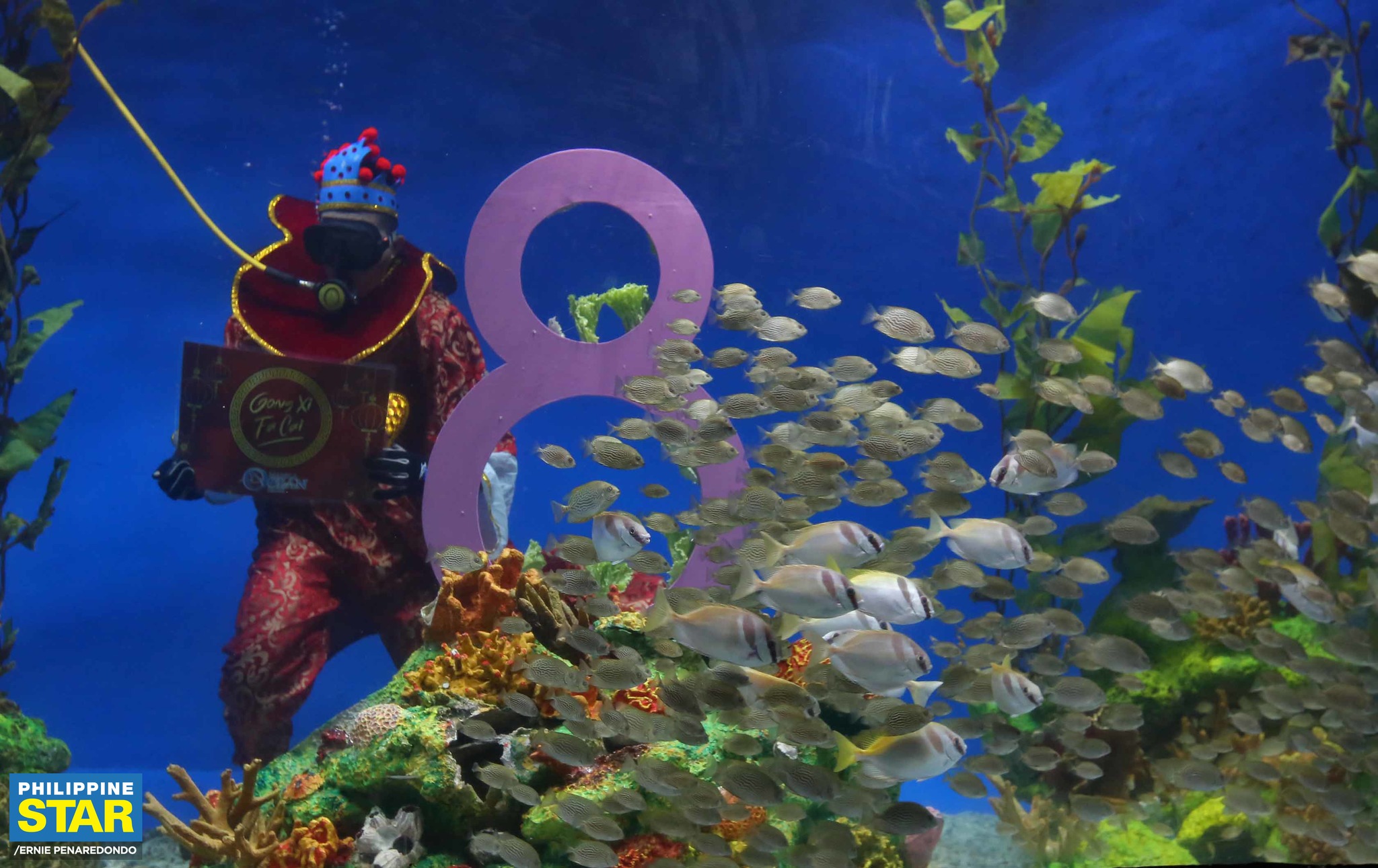 Philippine Star - MANILA OCEAN PARK SAYS HAPPY NEW YEAR 🐟🎆 A diver ...