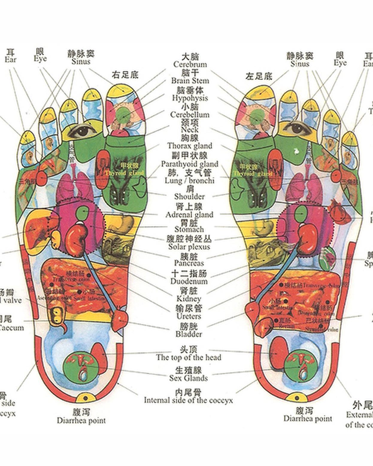 Foot Map's are a visual tool we use... - Foot Zoning by Di | Facebook