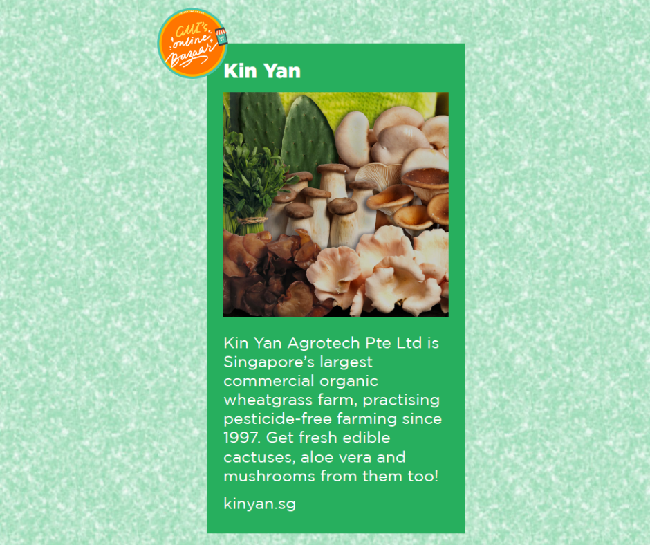 Kin Yan Agrotech | Singapore Singapore