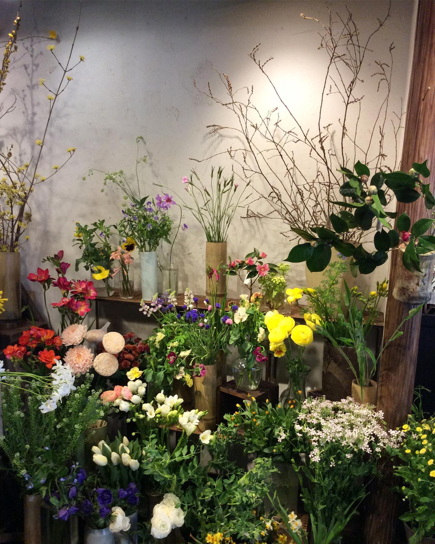 野の花司