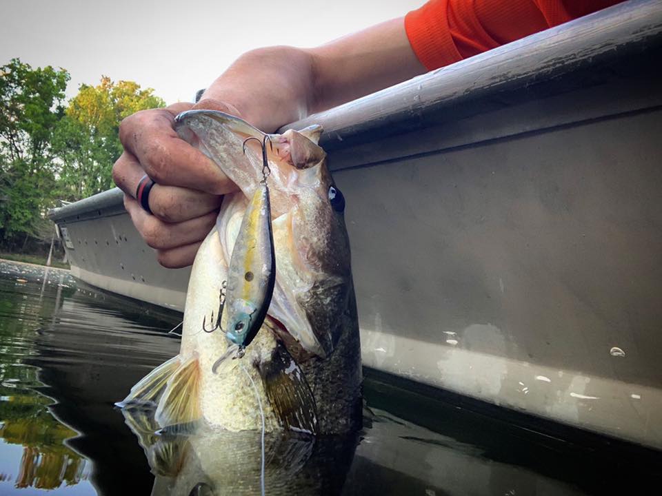 MONSTERBASS - The Roccit Shad has prepared for liftoff...🚀... | Facebook