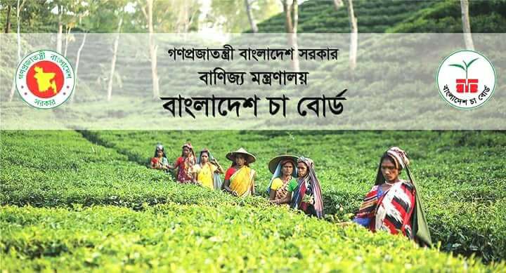 Bangladesh Tea... - Bangladesh Tea Research Institute