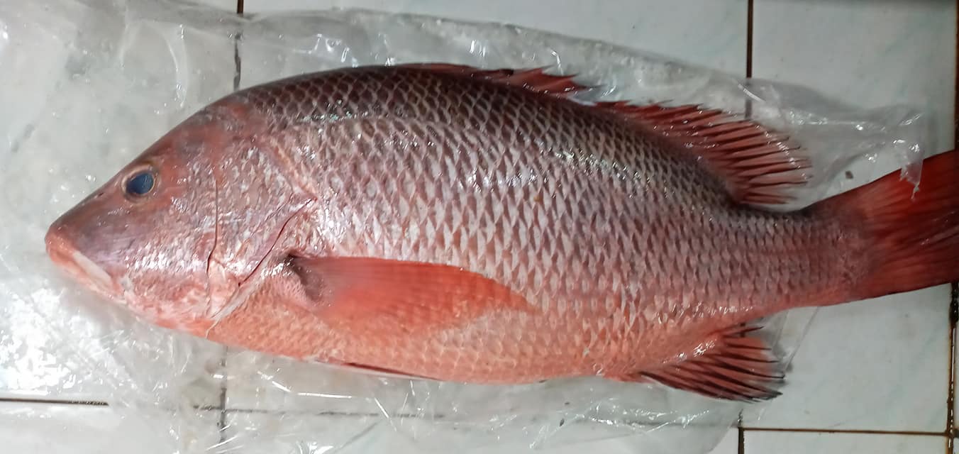 ปูบ้า Delivery เมนูสำหรับคนบ้าปู ปูทะเล ปูม้า ปูจั๊กจั่น | Facebook