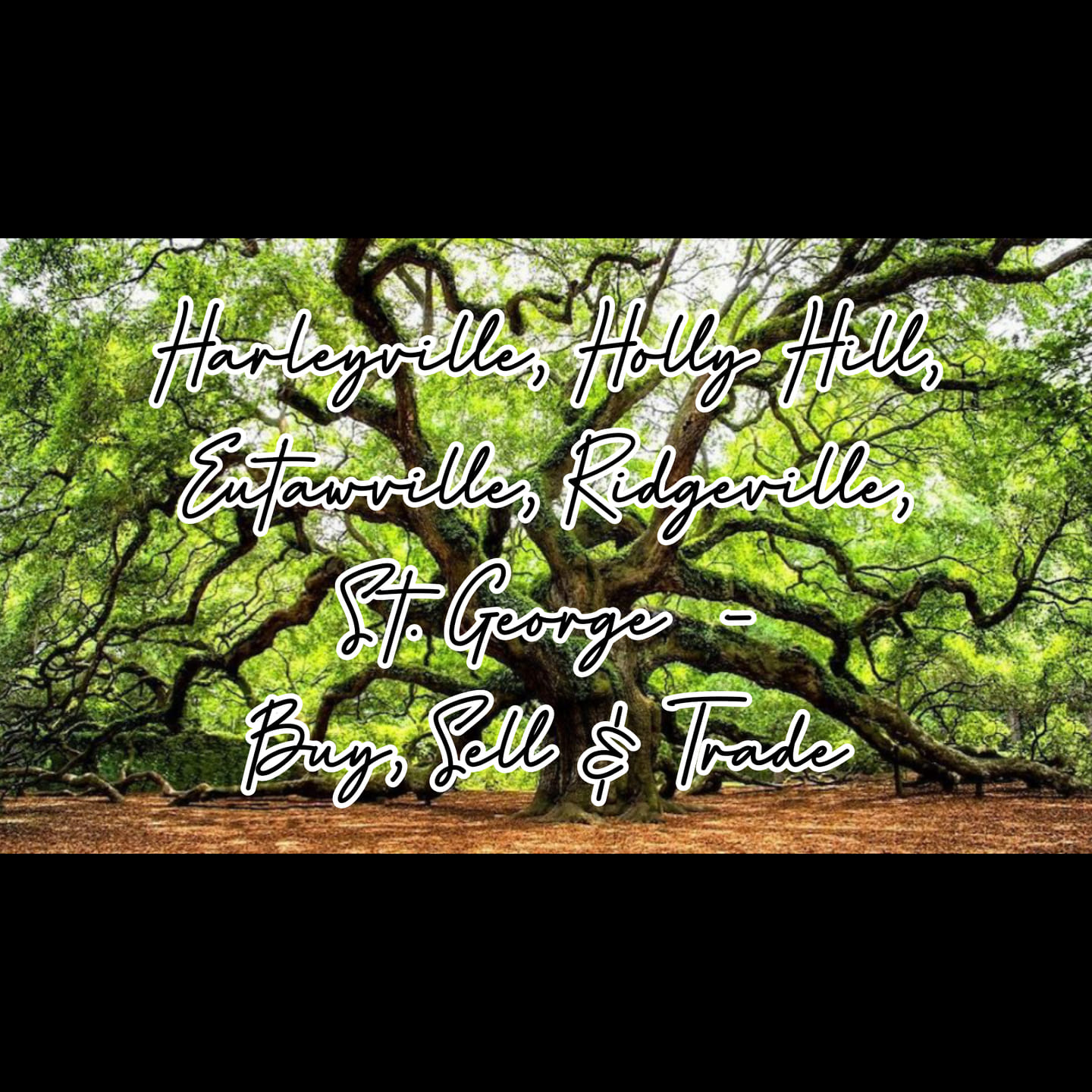 Harleyville, Holly Hill, Eutawville, Ridgeville, St B/S/T