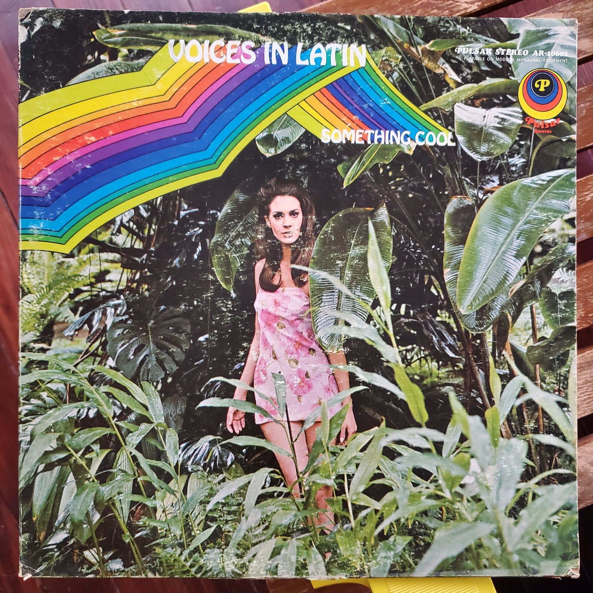 Barbara Moore's lush Voices In Latin album