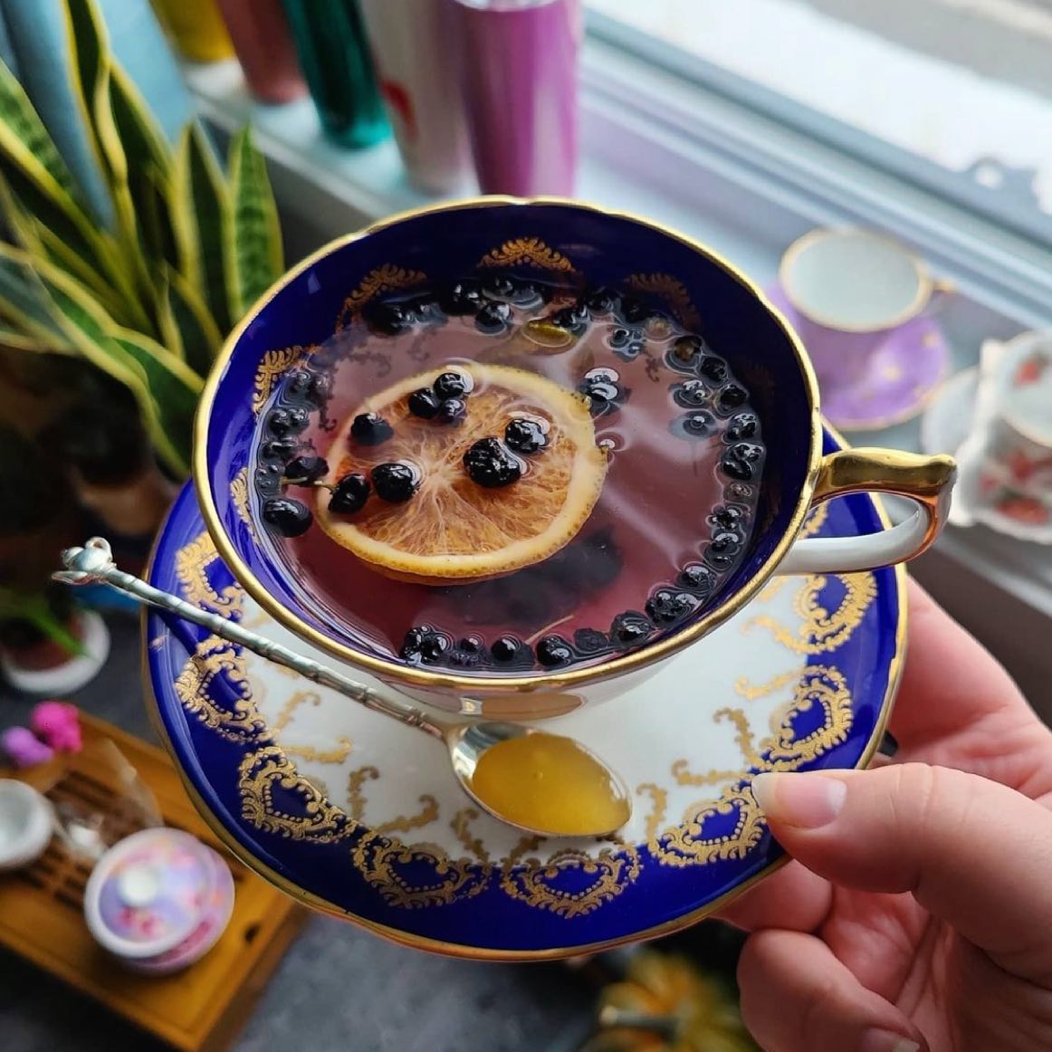 Kuda Tea