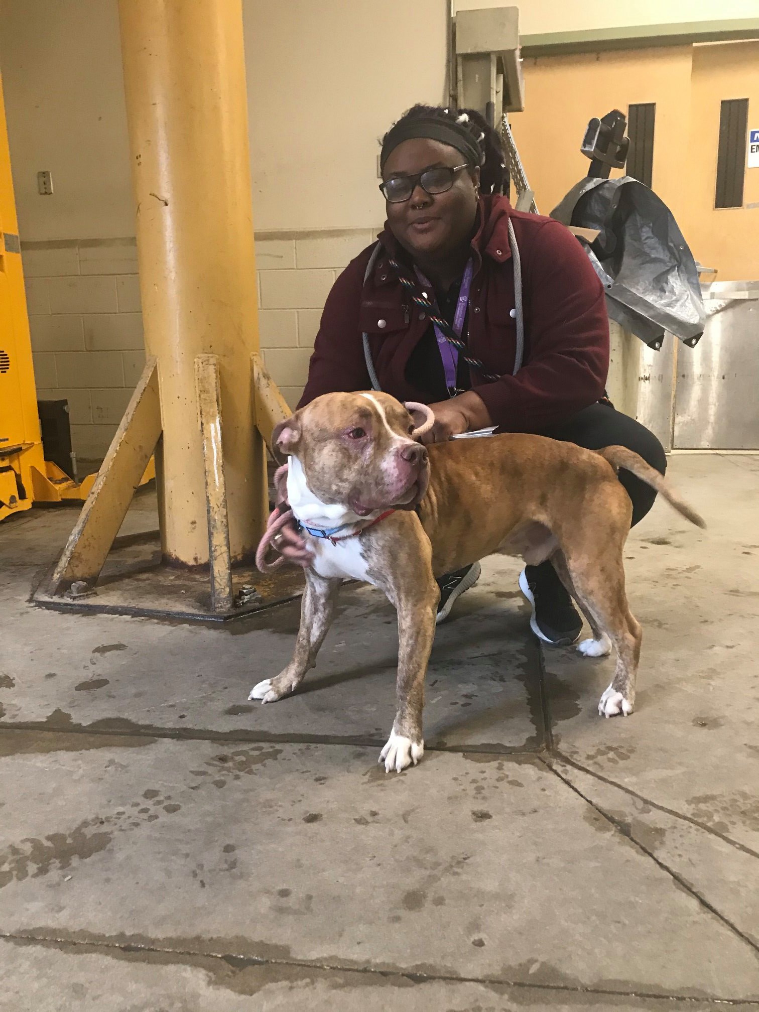 ブル We LOVE 🥰our Love Local Partners! HUGE Thanks to Humane Society