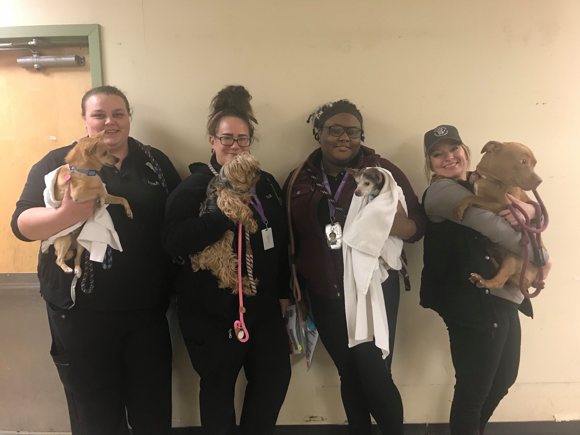 We LOVE 🥰our Love Local Partners! HUGE Thanks to Humane Society