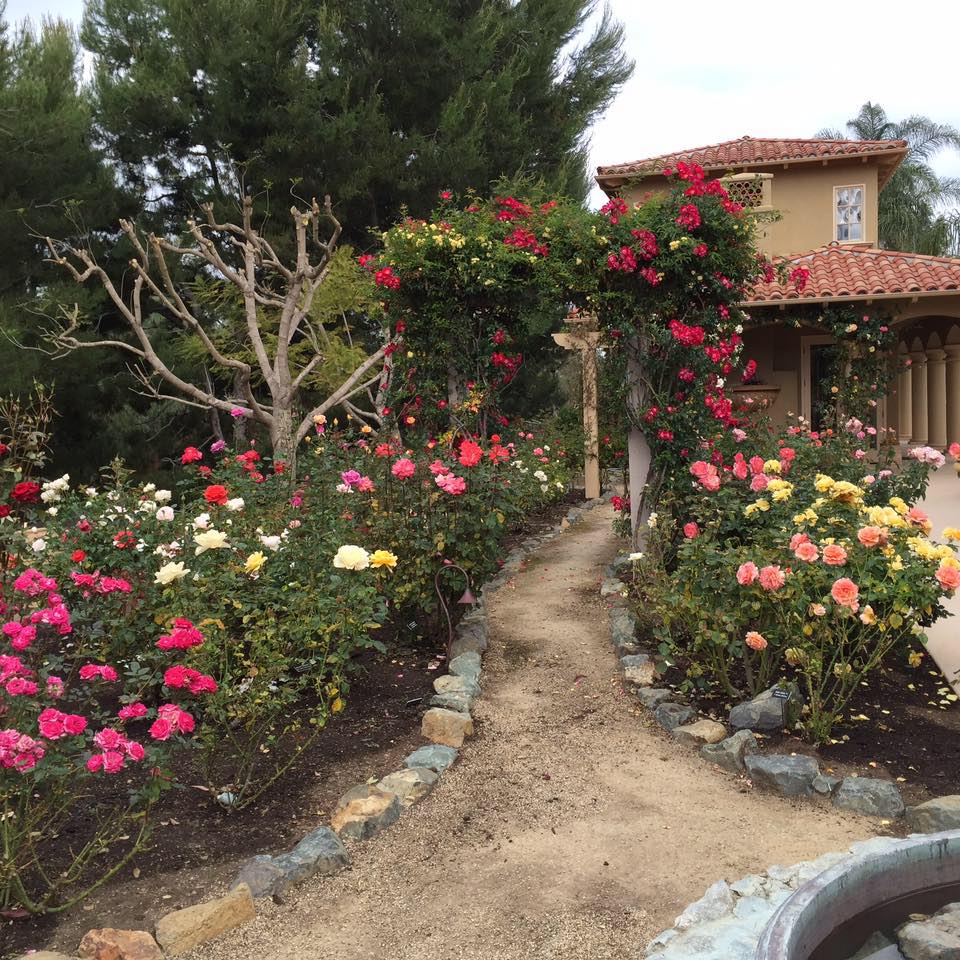 The Ruehle Foundation is... - Julie & Bill Ruehle Foundation