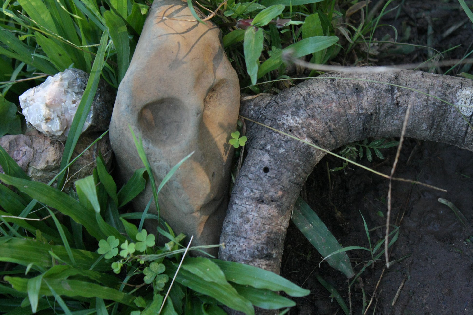 Rocks from different parts of... - Cosmopolitan Green Ecology
