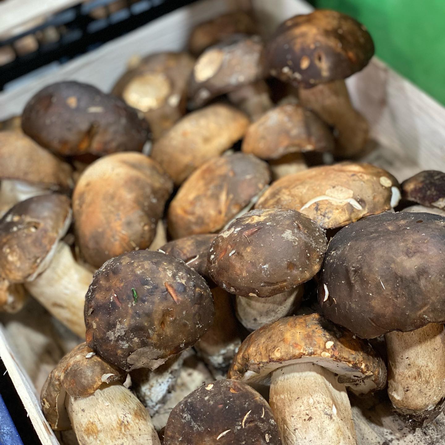 Frutta e Verdura Pancotti | Tarquinia