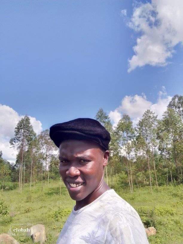 Rashid de rash