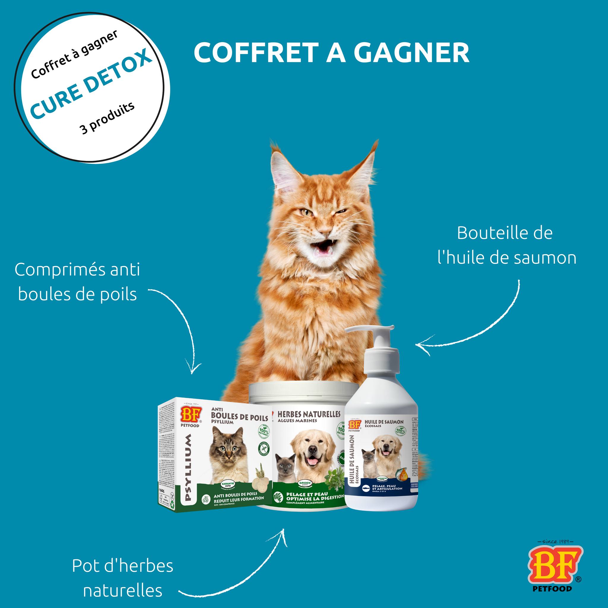 Animal Protect Startseite Facebook