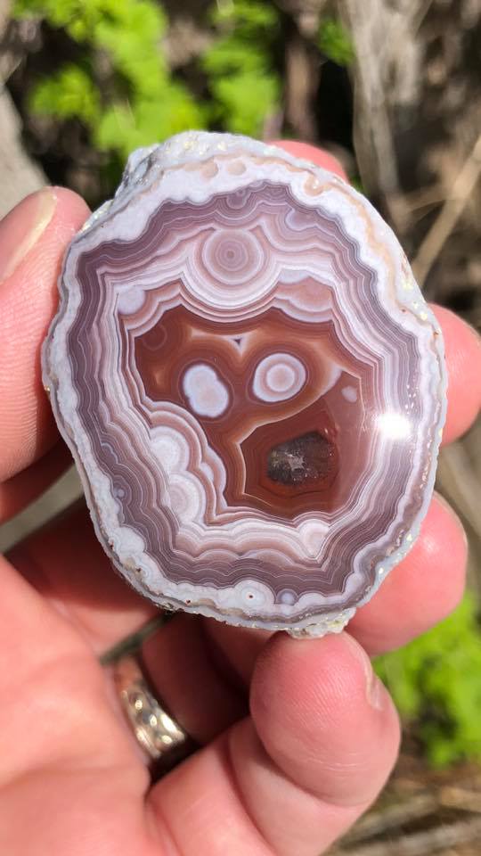 A macro look at a Laguna agate!