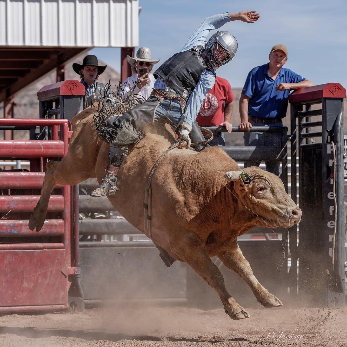 Diamond G Rodeos And Ranches | Toquerville UT