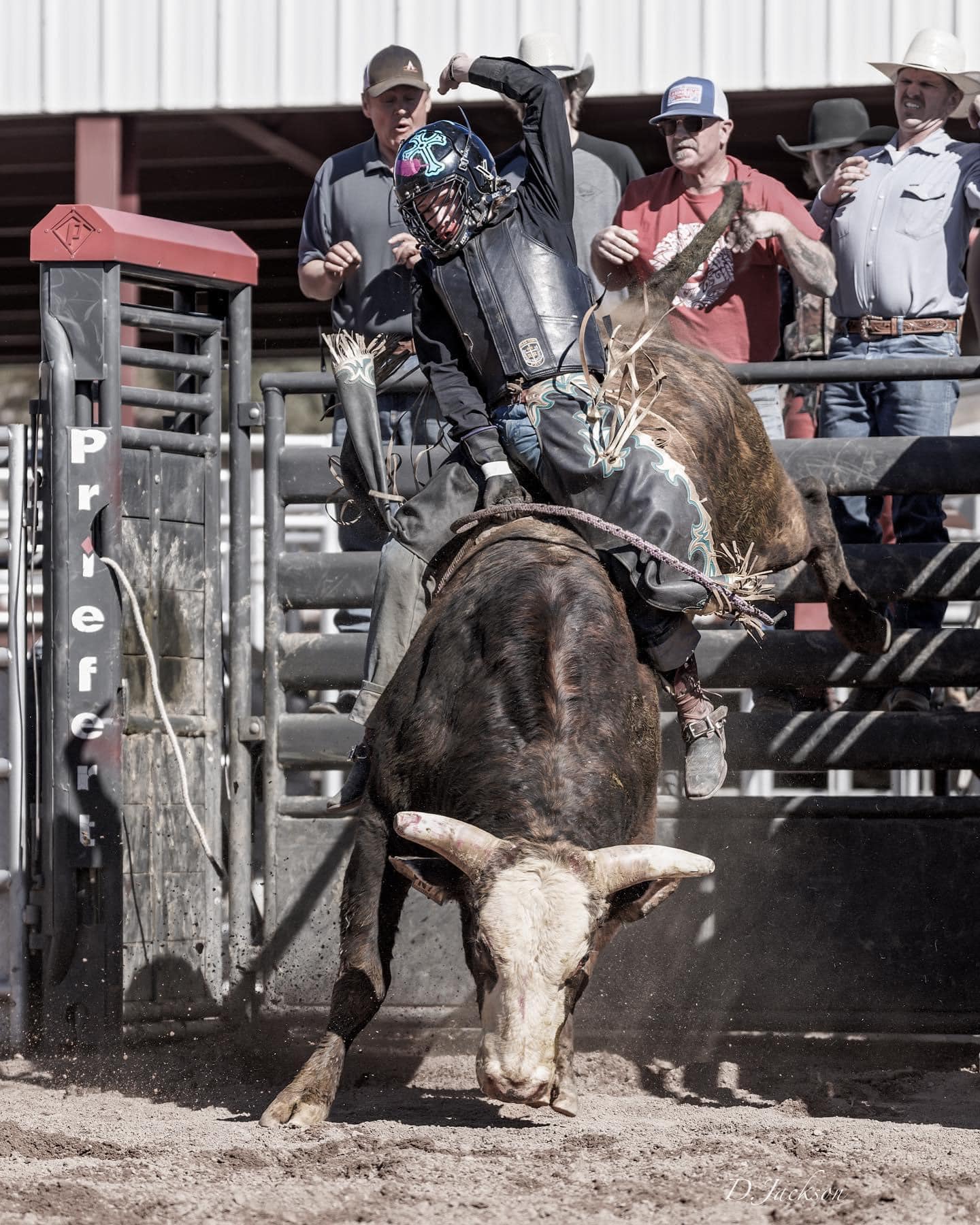 Diamond G Rodeos And Ranches | Toquerville UT