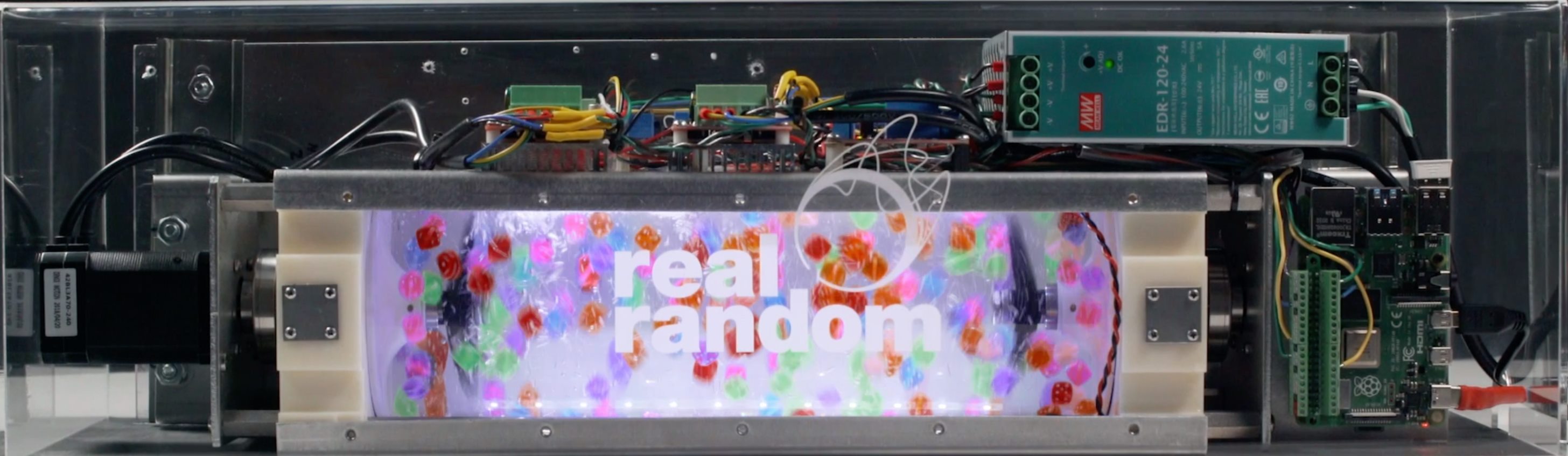Real Random LLC | Tampa FL