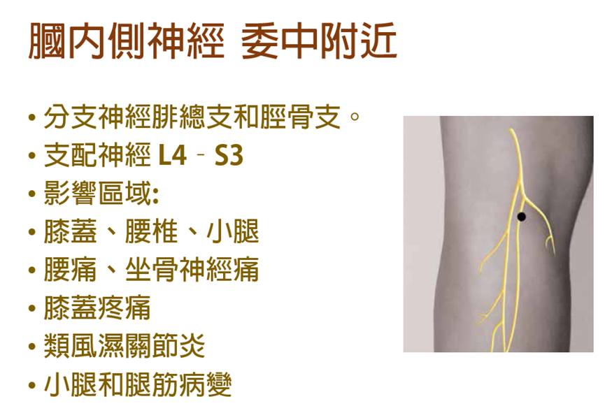 各種針灸專區 | Facebook