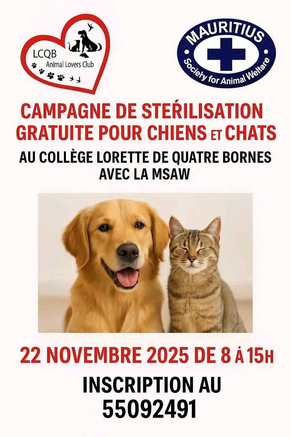 STRAY DOGS ADOPTION - MAURITIUS | Facebook