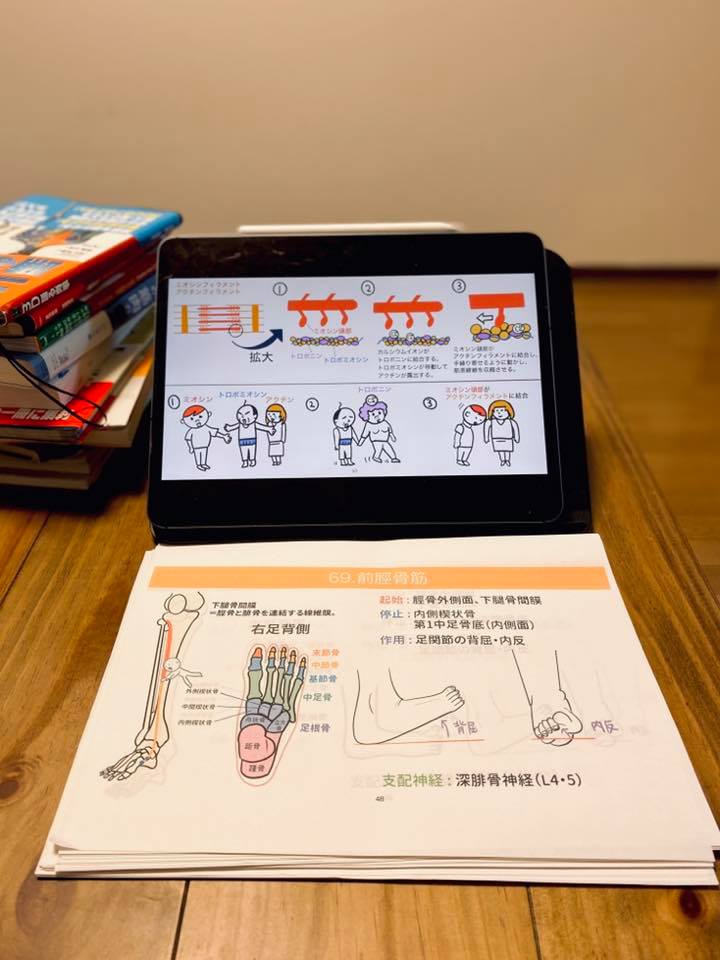 解剖生理学攻略ページ あと少しで イラストで学ぶ筋肉の起始停止セミナー の 下半身 頭頸部編 が 完成しそうです 後は 動画を収録して編集するだけ 今回も上半身編と同じくらいの大ボリュームの内容ですので これで一気に筋肉 骨 神経の知識を身につけ