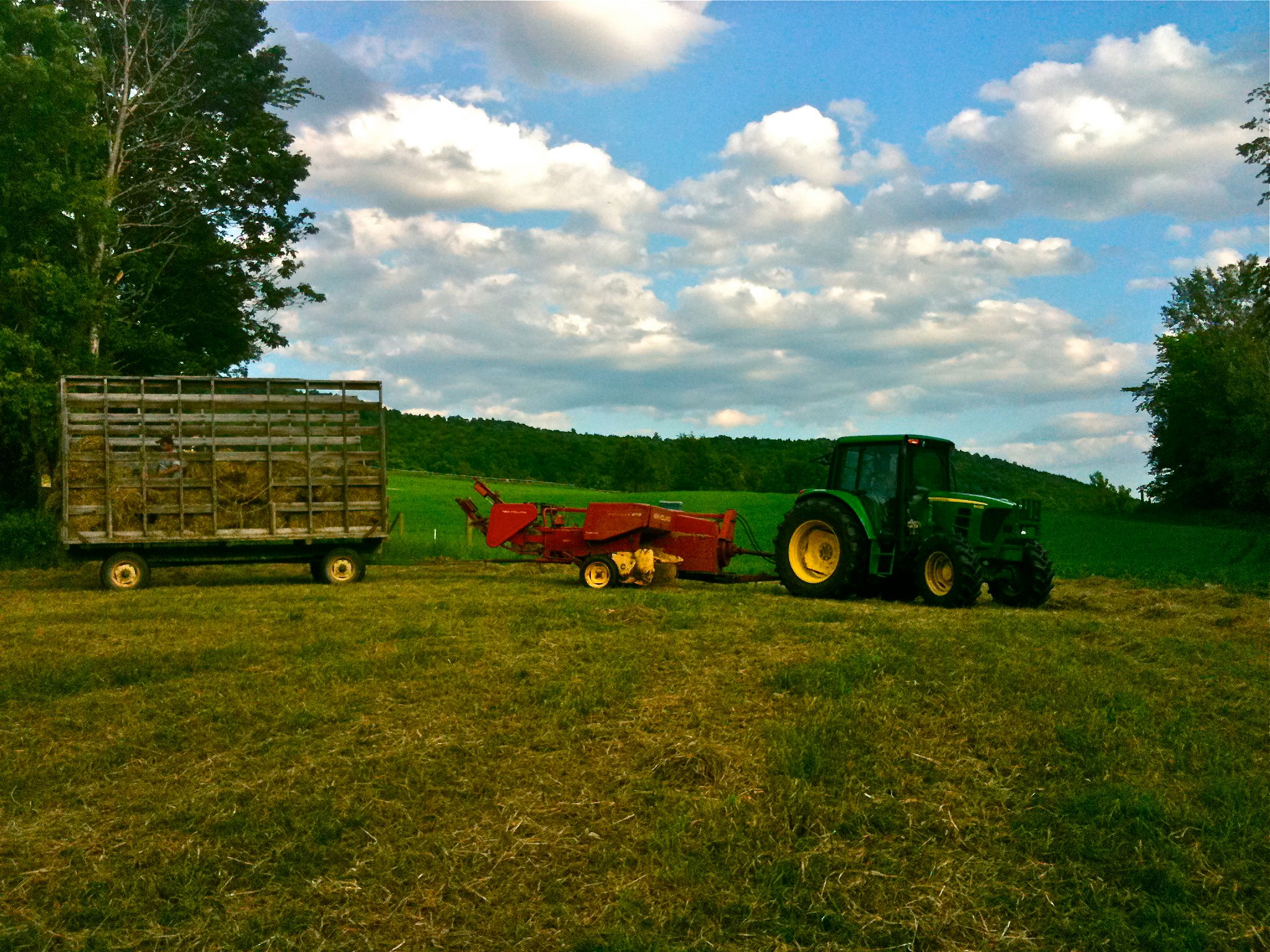 Sentinel Farms Vermont, Horse N Rebel | Starksboro VT