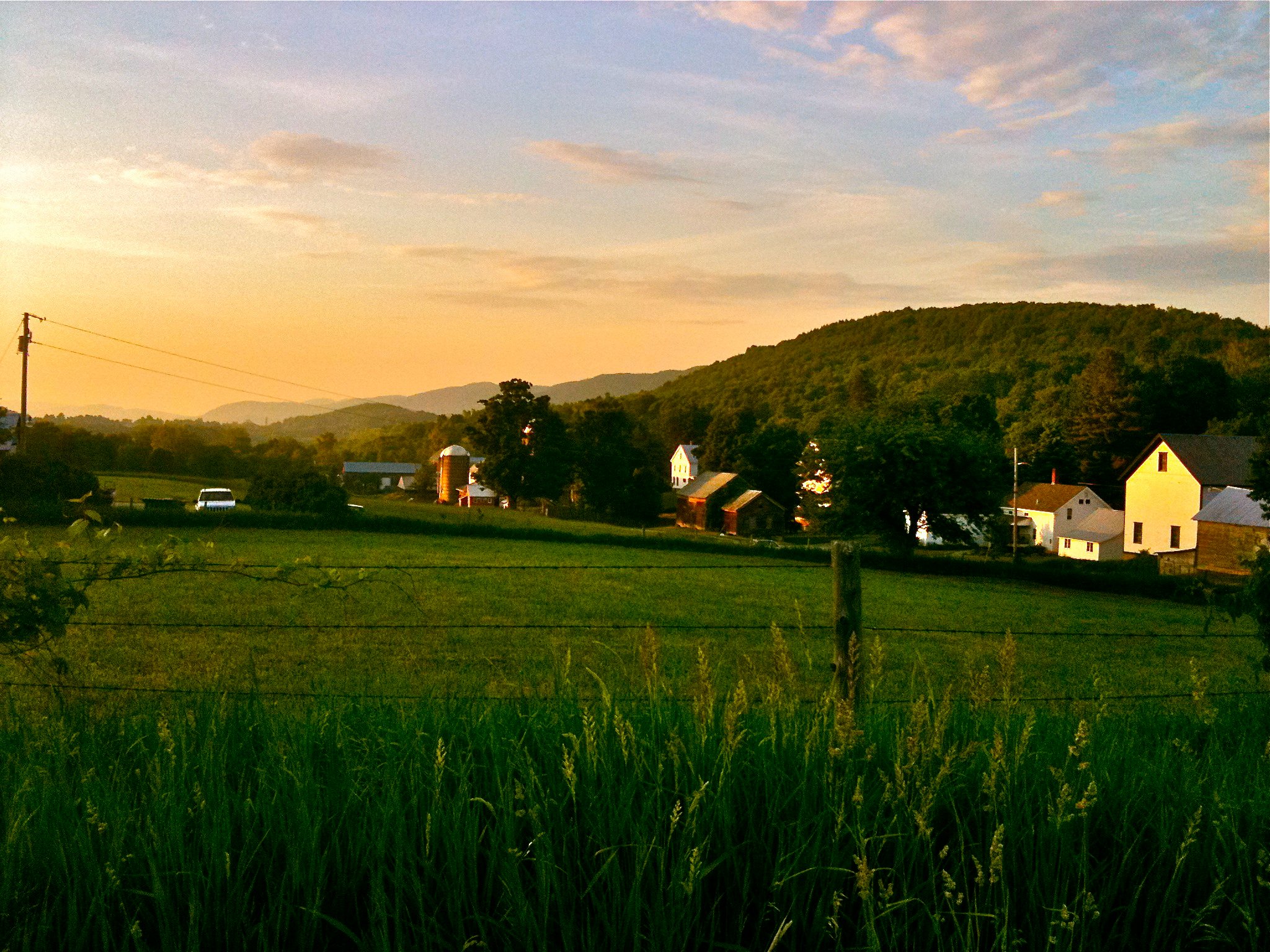 Sentinel Farms Vermont, Horse N Rebel | Starksboro VT