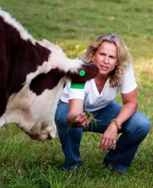 Sentinel Farms Vermont, Horse N Rebel | Starksboro VT