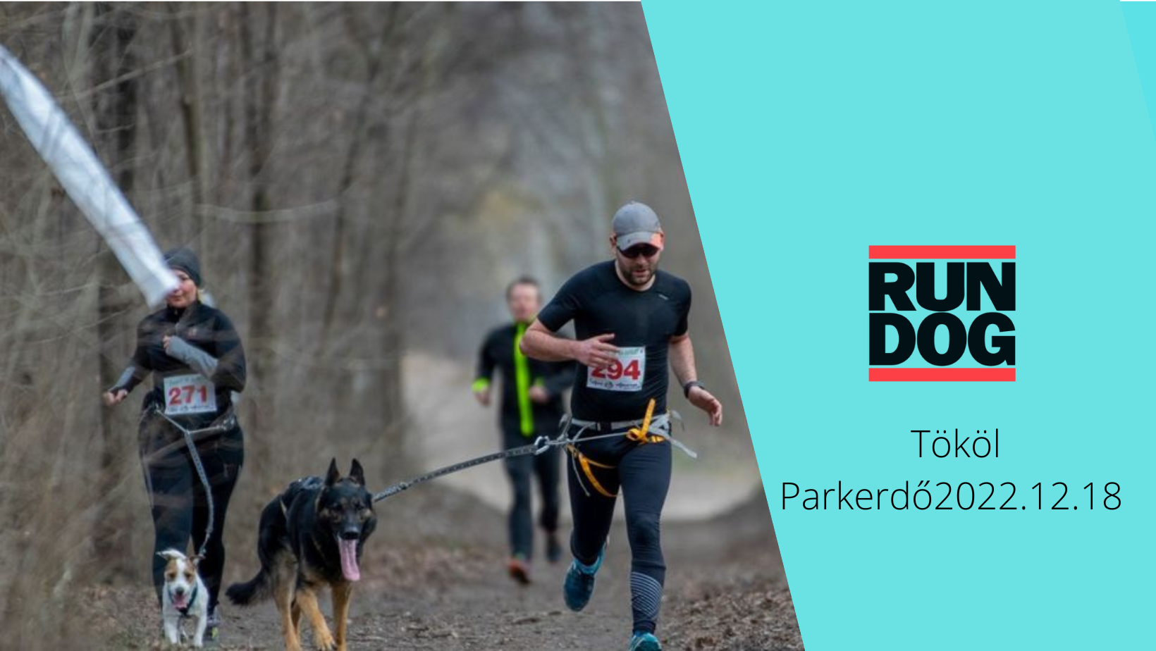 Dog Runner Sverige - DogRunner XL Passar medelstora raser(malle, rottis ...