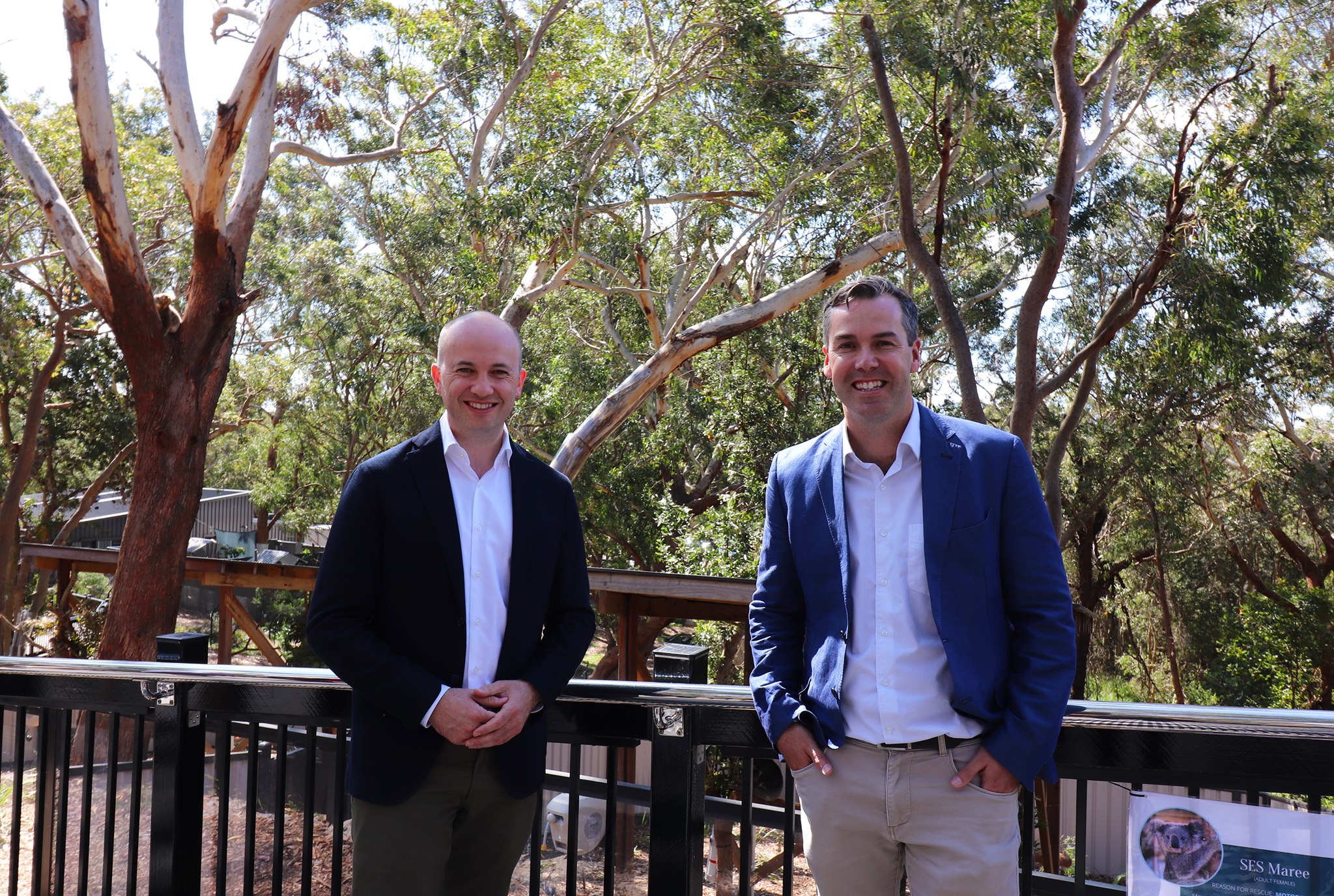 The Port Stephens Koala Sanctuary... - Port Stephens Council | Facebook