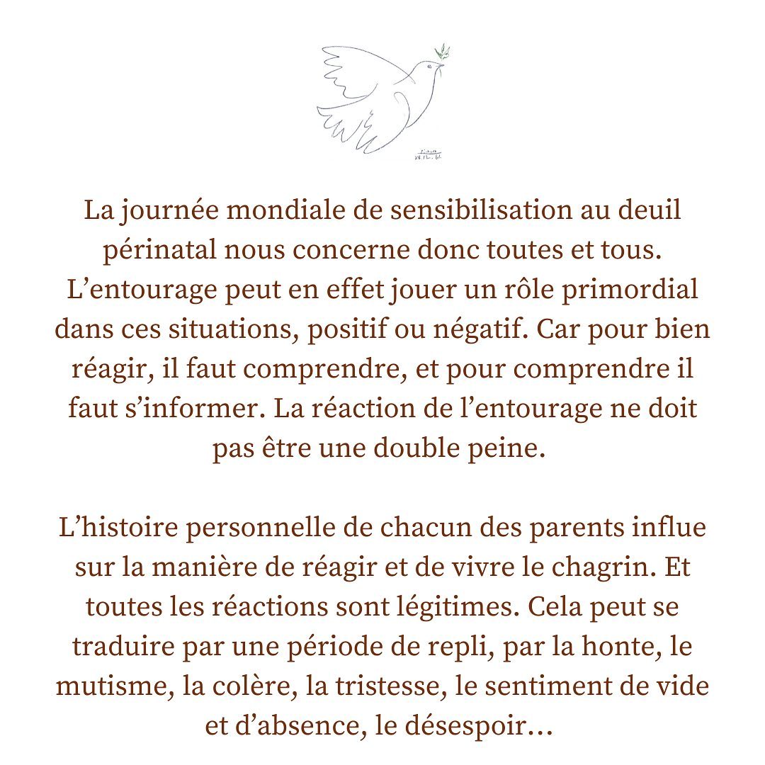 La Cigogne Francaise Posts Facebook