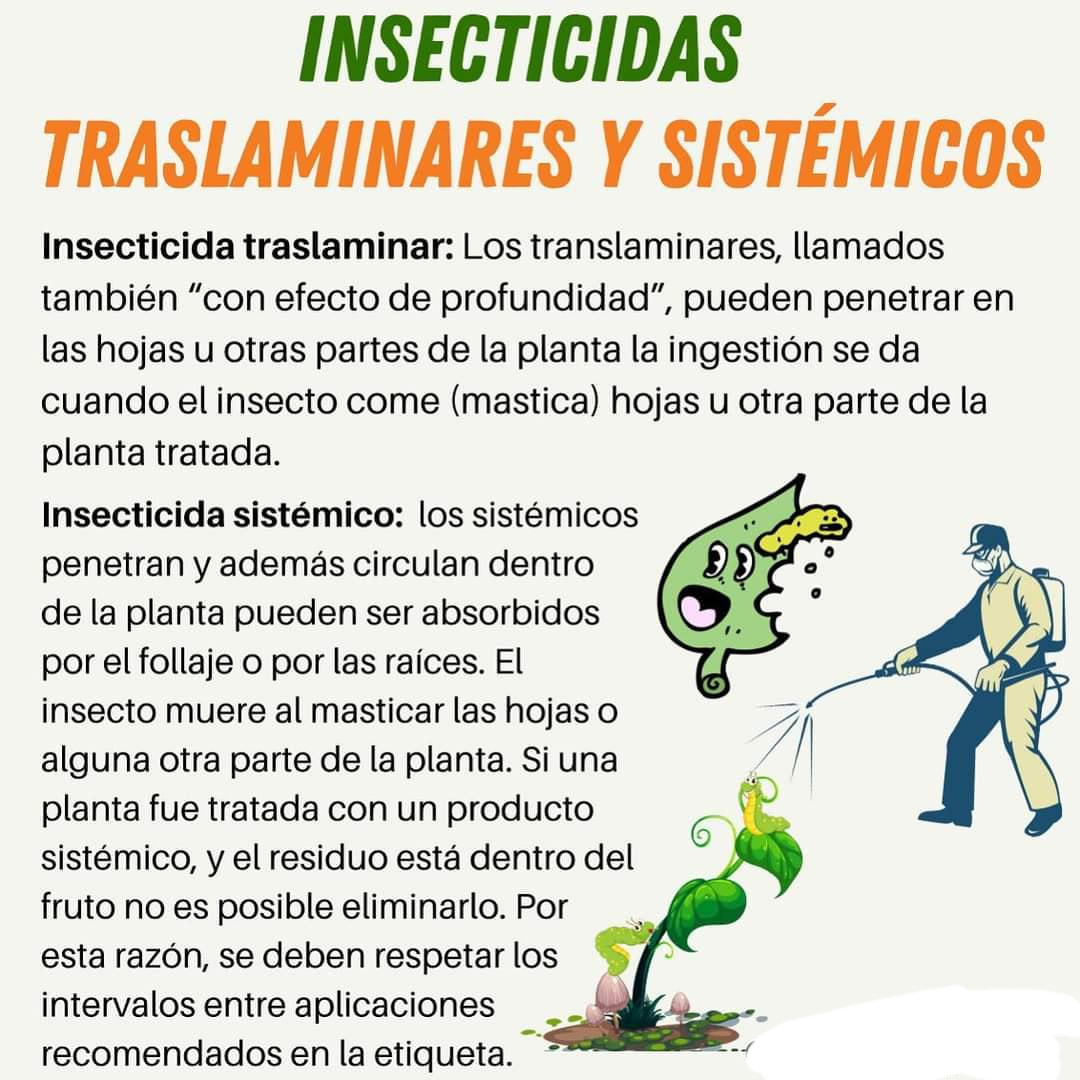 Finca Los Pellos - Insecticidas traslaminares y sistémicos 🪴🐛👨🏻‍🌾 🌿 ...