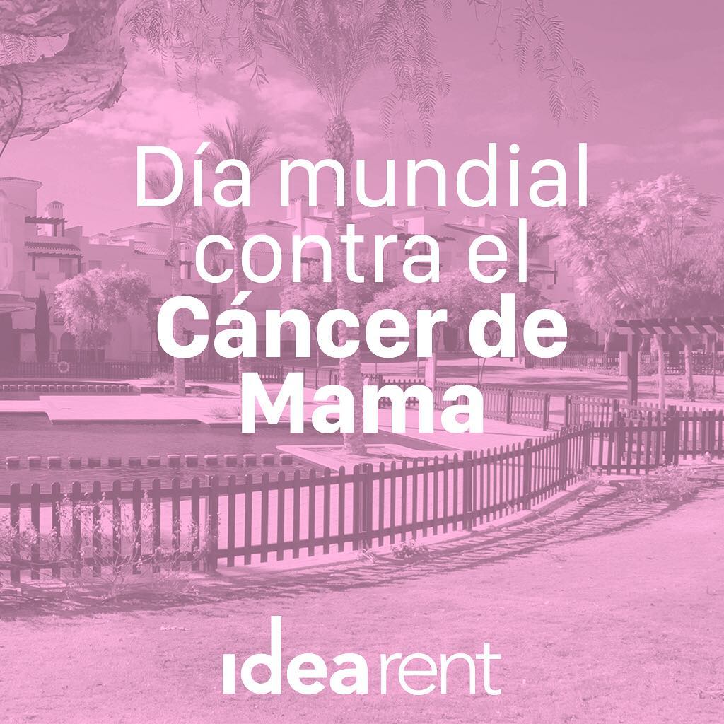 Idea Rent