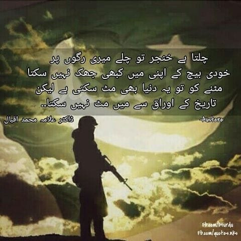 Amer Rafiq