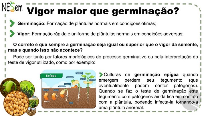 Da série “NESem... - Núcleo de Estudos em Sementes - NESem