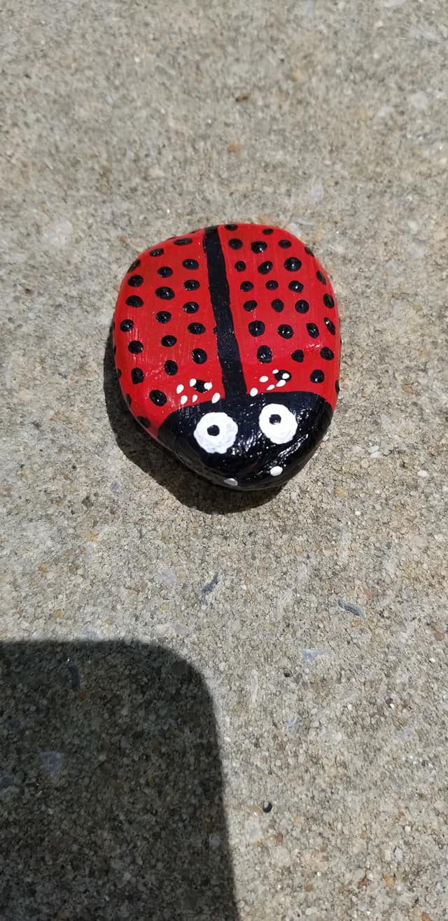 Choccolocco Park Rocks