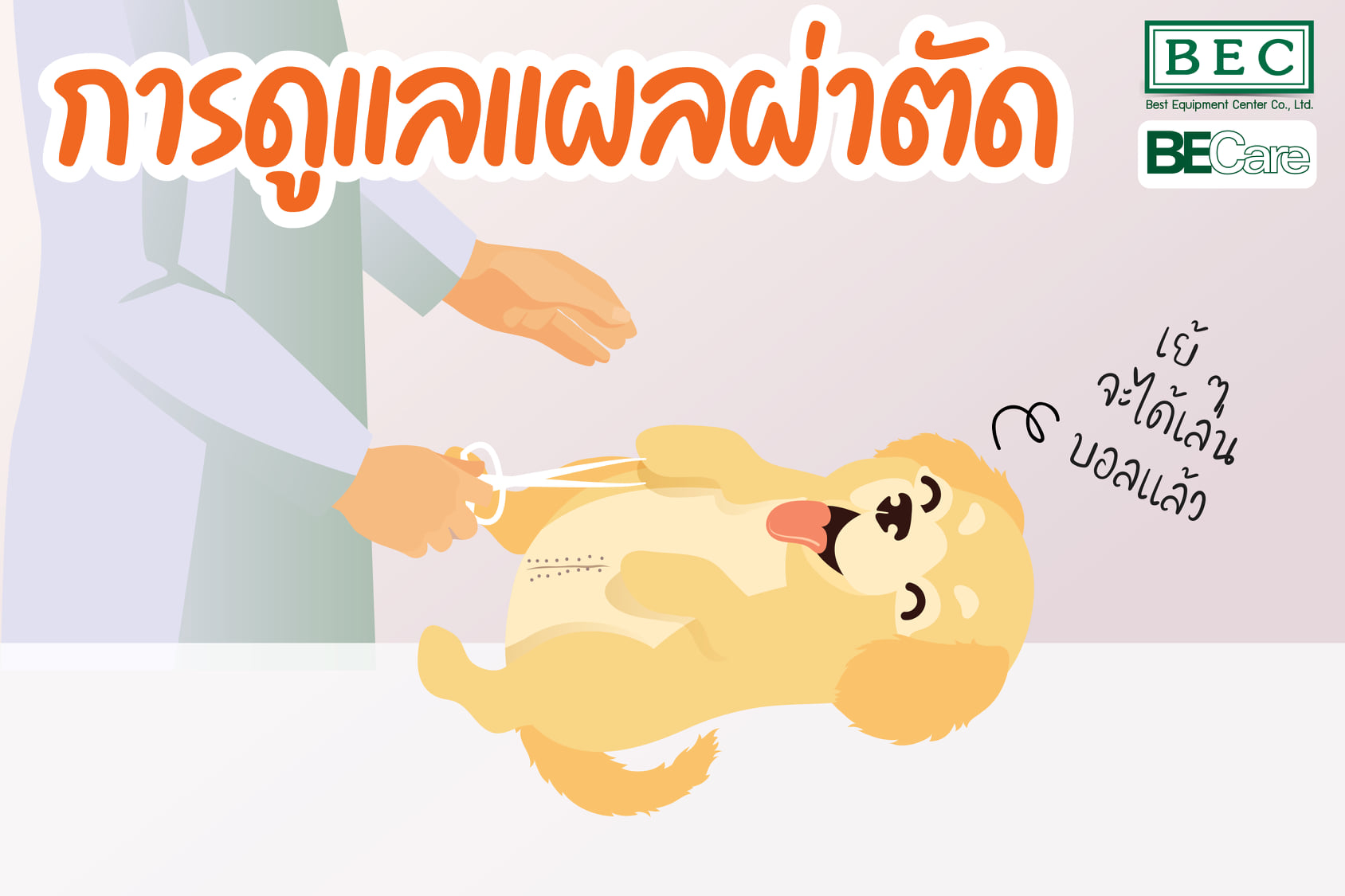 การดูแลแผลหลังผ่าตัด... - BECare ผลิตภัณฑ์ สำหรับสัตว์เลี้ยง